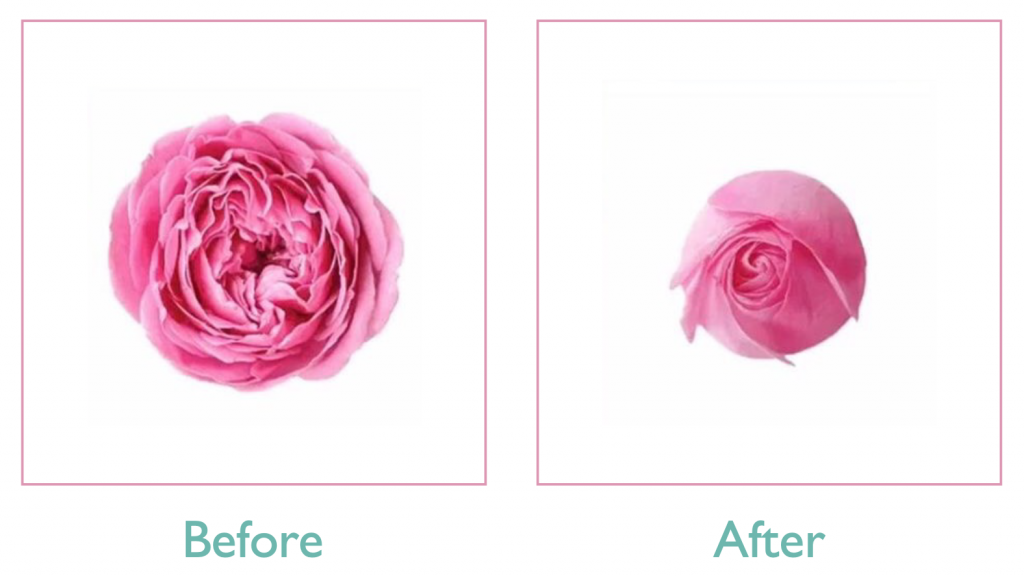 before-after-1024×576
