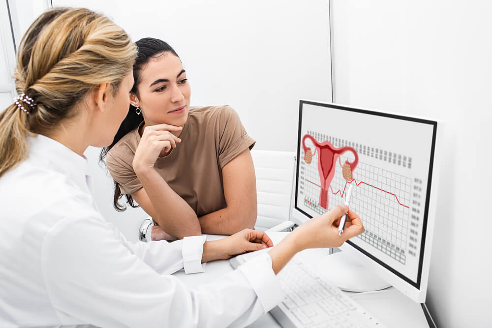 Gynecologist Communicates With Her Patient, Indicating the Menstrual Cycle on the Monitor