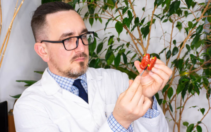 Doctor Endocrinologist During Consultation Shows Patient Parathyroid Glands on Anatomical Model.