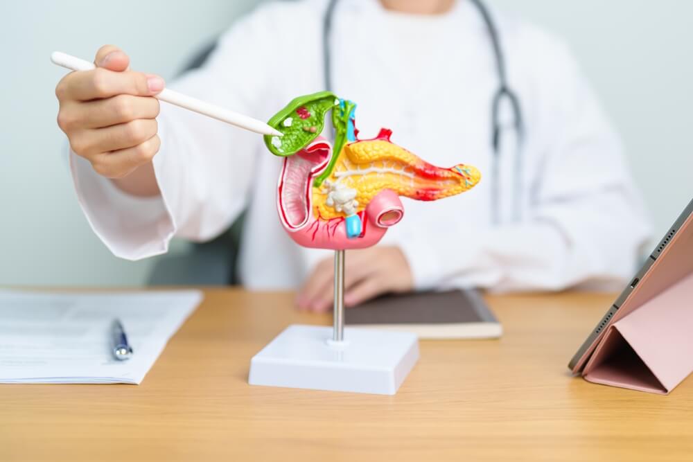 Doctor With Human Pancreatitis Anatomy Model With Pancreas, Gallbladder, Bile Duct, Duodenum, Small Intestine and Tablet
