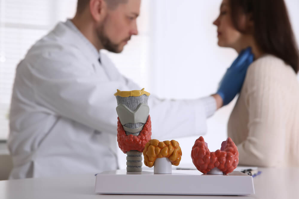Doctor Examining Thyroid Gland Of Patient In Hospital Focus On Organ Models