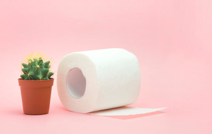 Hemorrhoid Constipation Treatment Health Problems Toilet Paper An A Cactus On The Pink Background Hemorrhoid Problems