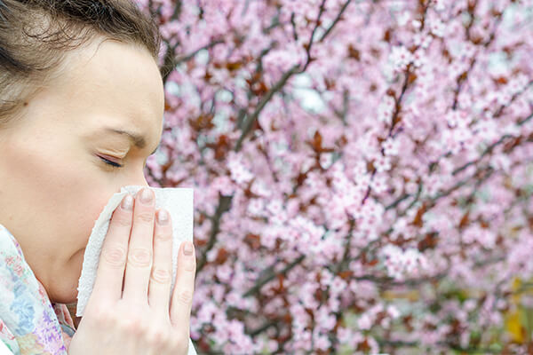 nose allergy flowers