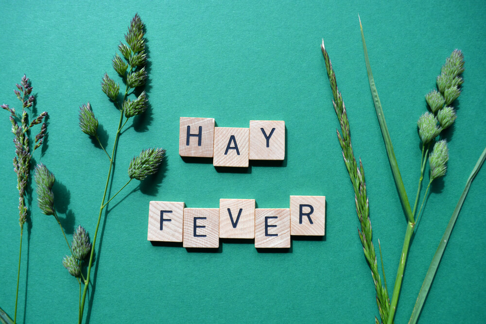 Hay Fever, Words in Wooden Alphabet Letters With Fresh Green Grasses Isolated on a Green Background