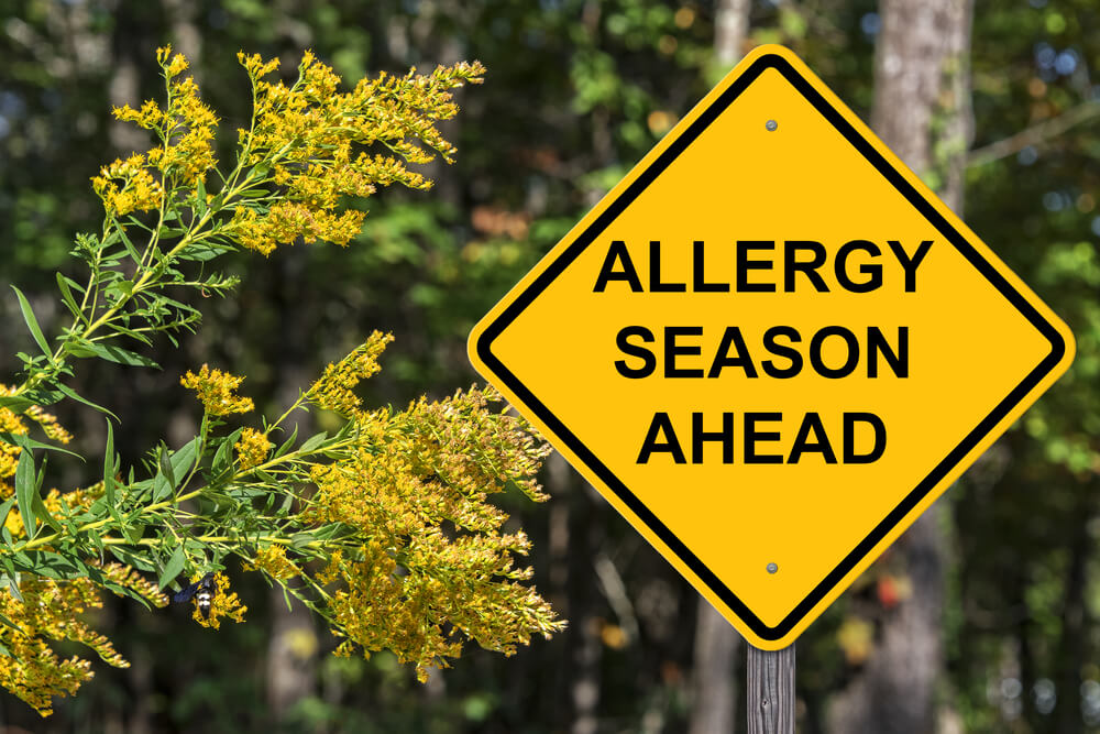 Caution Sign - Allergy Season Ahead