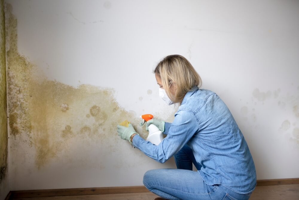Pretty Blonde Woman With Mouth Nose Mask Cleans Mold From Dirty Apartment Wall