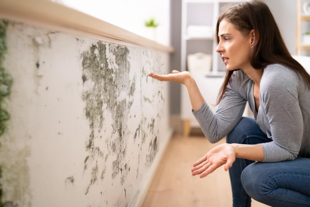 Side View Of A Shocked Young Woman Looking At Mold On Wall