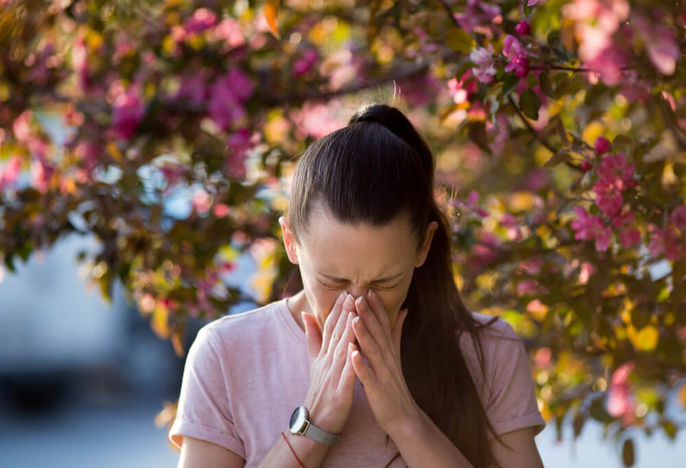 Understanding Allergy Season