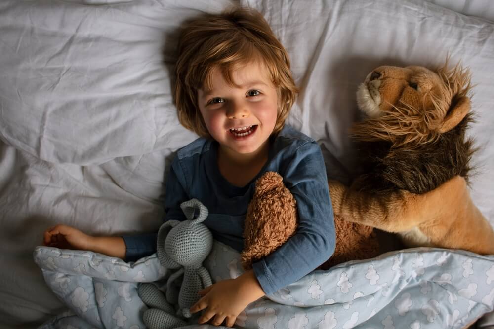 Toddler Boy in a Bed With a Teddy Bear and Another Stuffed Animals
