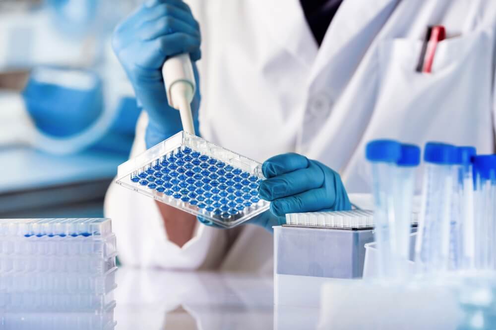 Geneticist Working With Microplate For Cells Analysis In The Genetic Lab Researcher Working With Samples Of Tissue Culture In Microplate In The Genetics Laboratory