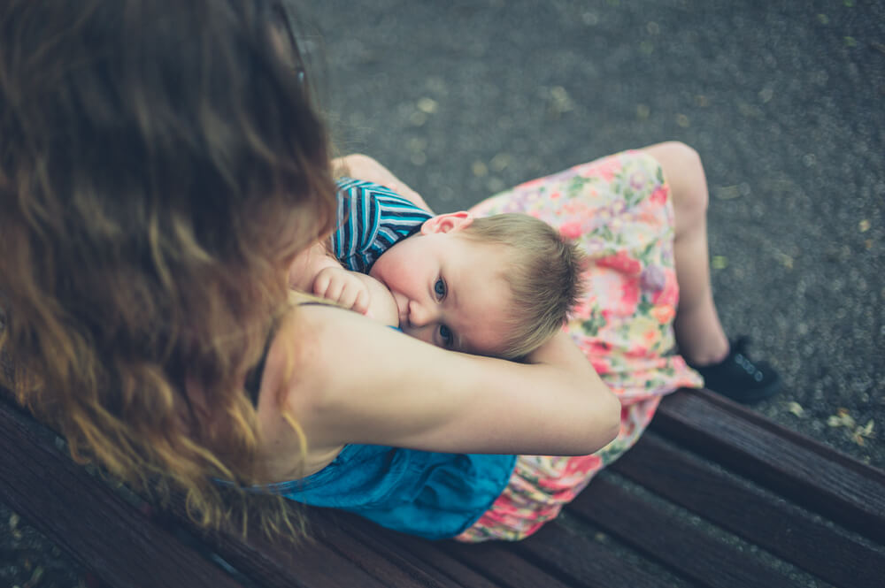 A Young Mother Is Breastfeeding Her Baby on a Park Bench