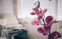 OB GYN Specialists in Jupiter, FL| Brown Institute