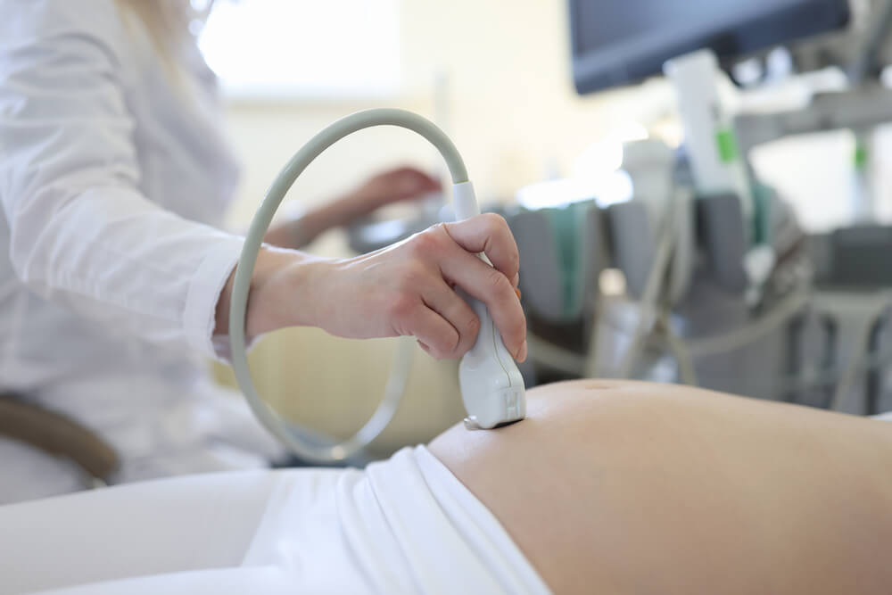 Doctor Doing Ultrasound Examination of Pregnant Woman Patient in Clinic Closeup