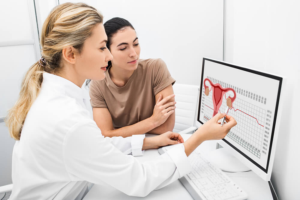 Gynecologist Communicates With Her Patient, Indicating the Menstrual Cycle on the Monitor