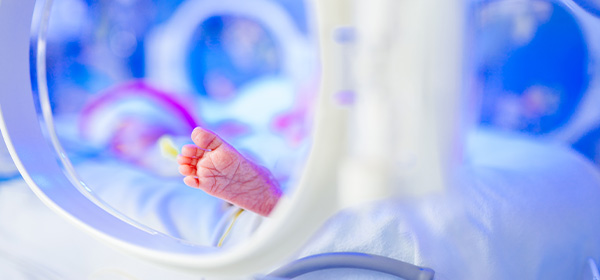 Neonatal-Bilirubin-Levels