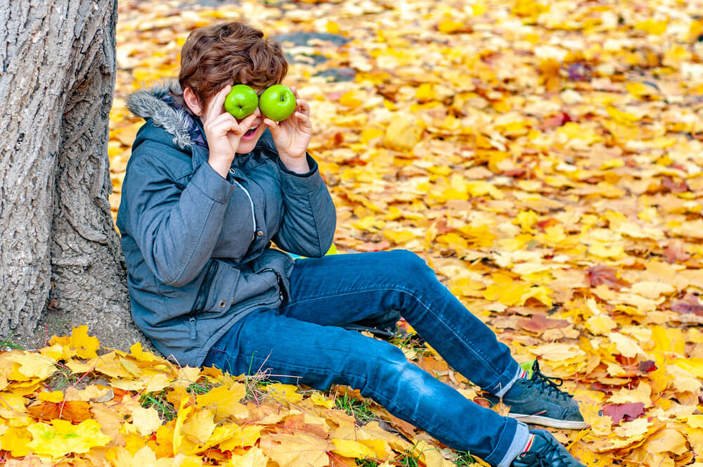 Schoolboy Boy Sits With Apples In Hands Near Eyes Under A Maple Tree On Fallen Orange Leaves Outdoors In Autumn