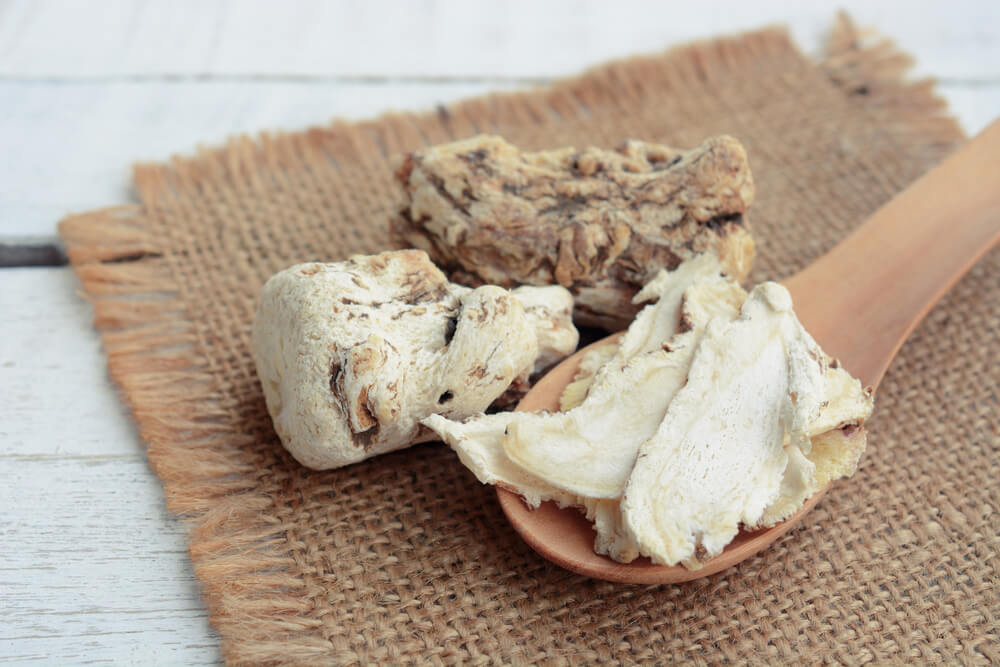 Dang gui ginseng slice on a wooden spoon, a traditional Chinese herbal medicine.