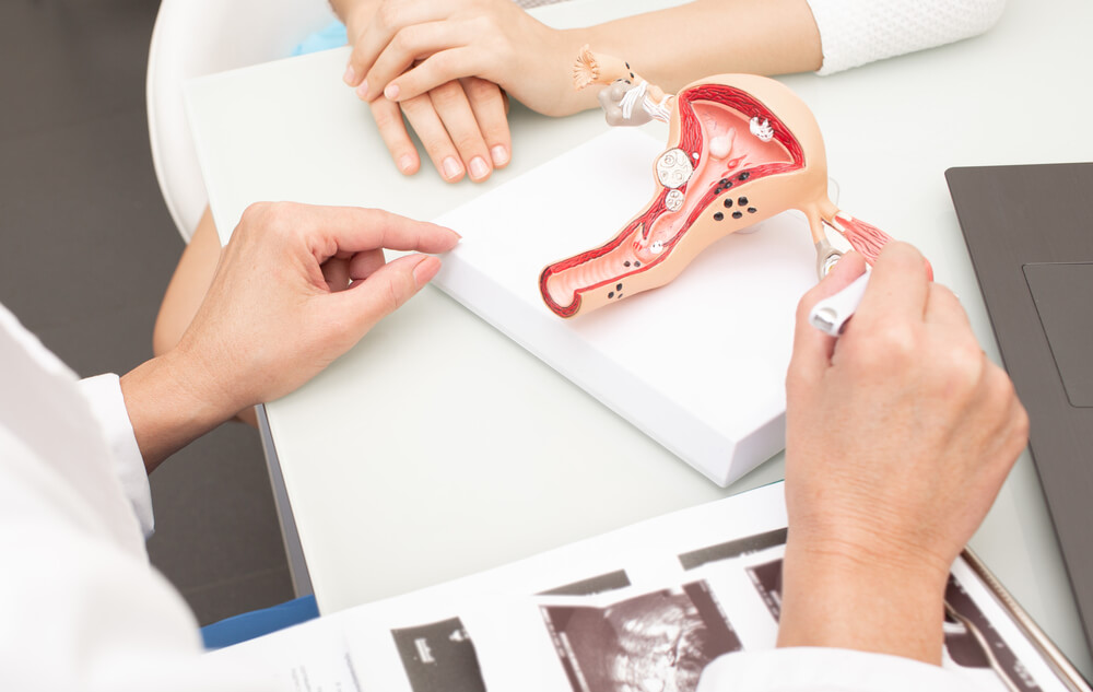 Gynecology, Women’s Health. Close-up of a Uterus Model