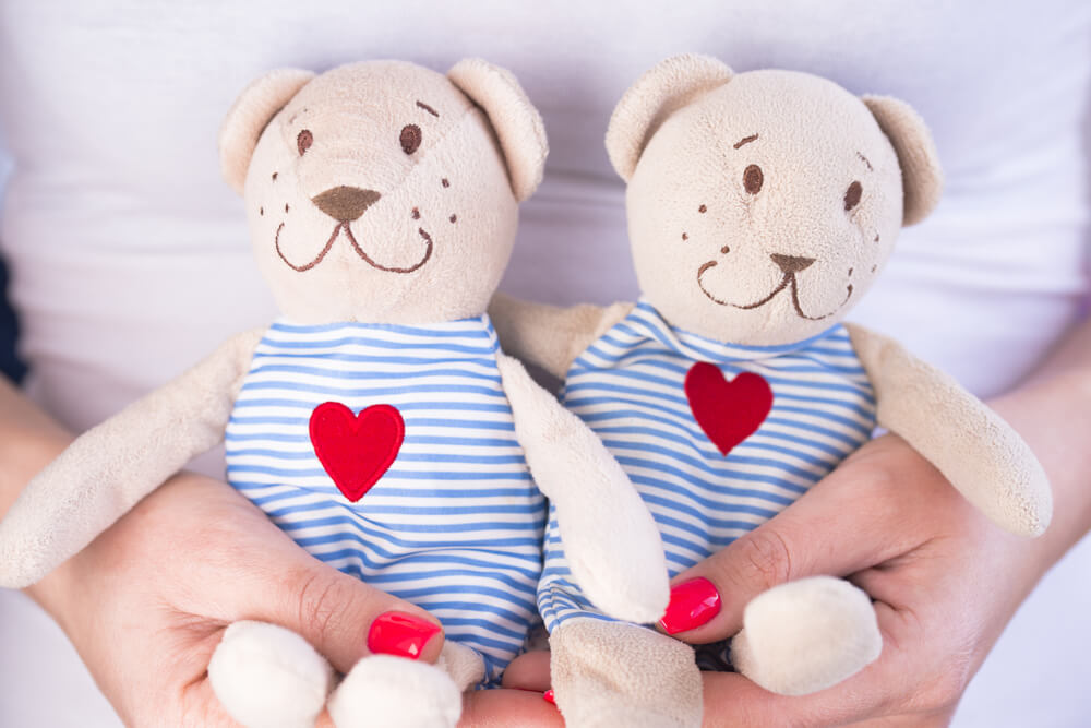 Twins Pregnancy Concept With Plush Teddy Bears