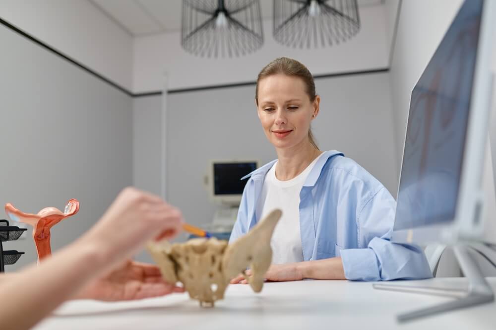 Closeup gynecologist showing structure of pelvis and pelvic floor to woman