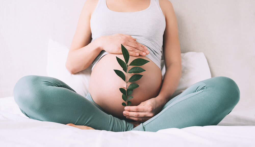 Pregnant woman holds green sprout plant near her belly as symbol of new life, wellbeing, fertility, unborn baby health.