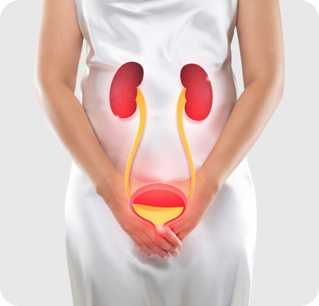 Urinary Incontinence Treatment in Plantation