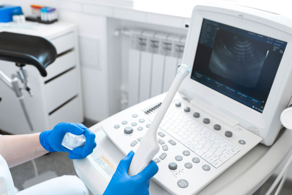 Gynecologist Doctor Prepares an Ultrasound Machine for the Diagnosis of the Patient.