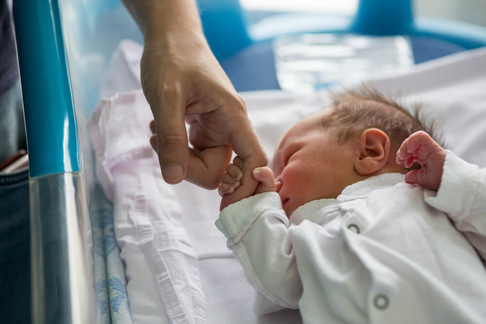 Beautiful Newborn Baby Boy, Laying in a Small Crib Holding His Father Finger in Prenatal Hospital