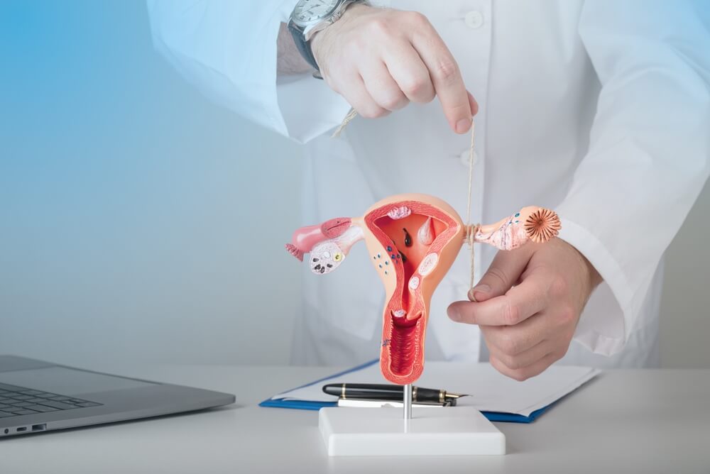 Gynecologist Shows How to Ligate the Fallopian Tubes on Training Model of Female Reproductive System