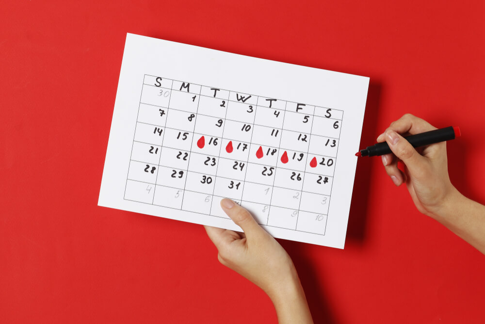 The Girl Notes on the Calendar the Days of Ovulation on a Red Background.