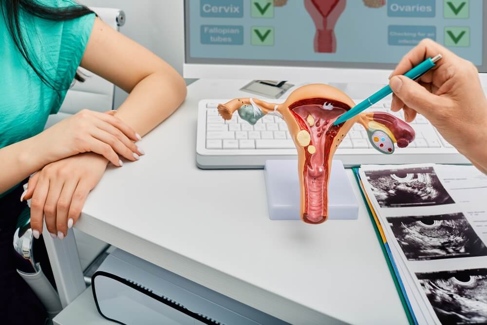 Close-up Anatomical Model of the Uterus With Pathologies.