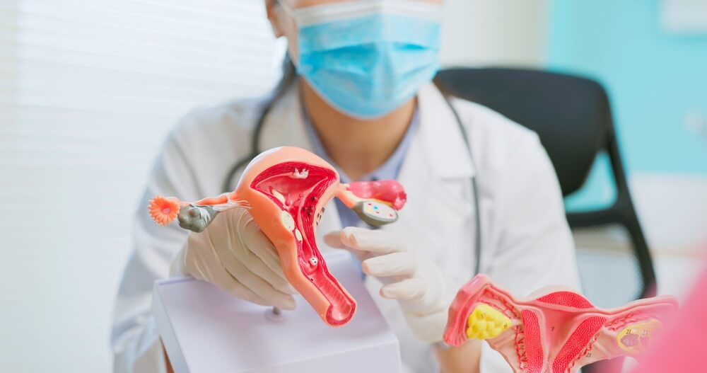 Close Up of Asian Female Doctor Wear White Coat and Face Mask Explaining Uterus Model to Woman in Hospital