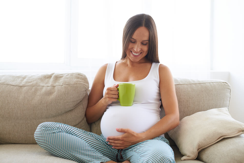 Closeup of Pregnant Happy Woman Sitting on Sofa and Drinking Tea