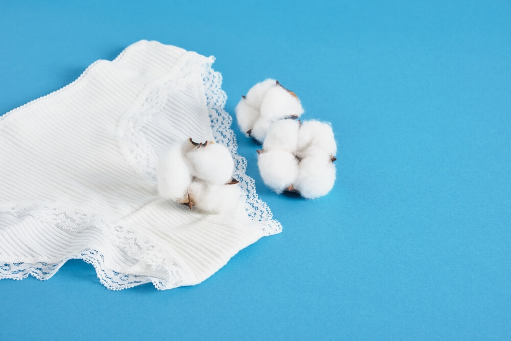 White Cotton Woman Underwear and Cotton Flowers on Blue Background