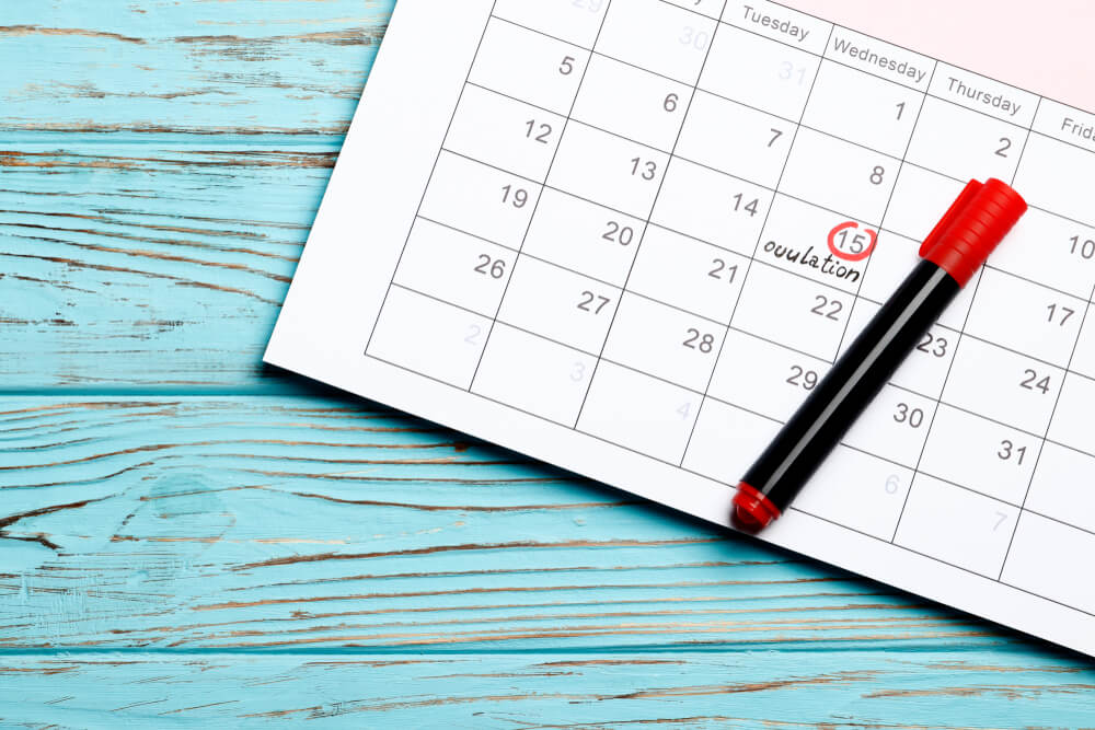 Circling the Date of the 15th Day in the Calendar