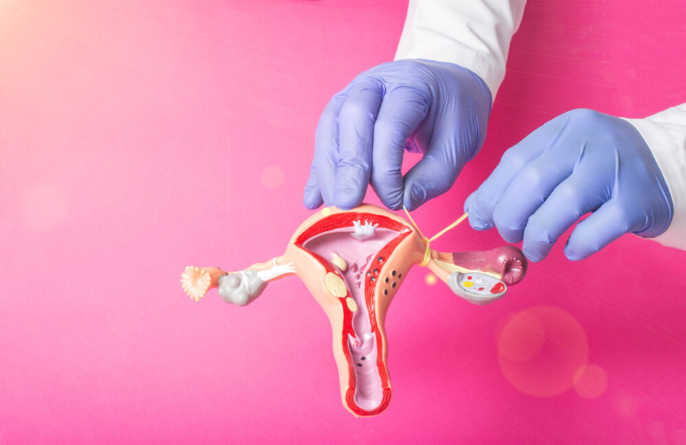 Doctor gynecologist ligates the fallopian tubes on the example of the layout of the female reproductive system, pink background.