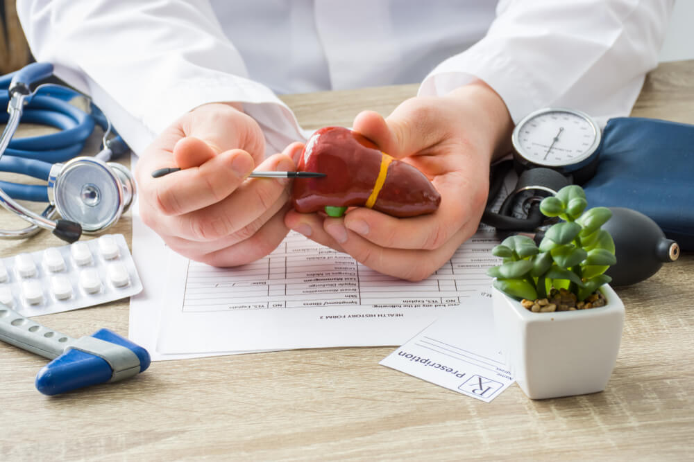 At Doctors Appointment Physician Shows to Patient Shape of Liver With Focus on Hand With Organ