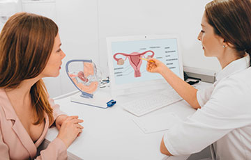 Gynecologist Showing Female Reproductive System