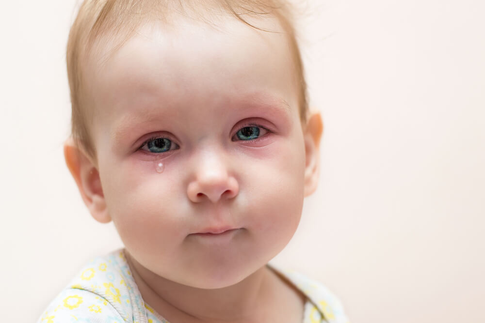 Little Cute Little Girl With Red Eyes and a Tear on Her Cheek on a White Isolated Background