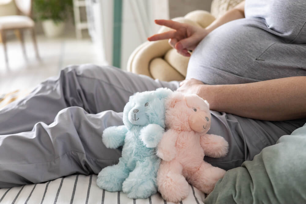 Closeup pregnant female tummy with bear toys gesturing two fingers awaiting twins baby boy and girl.