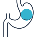 Gastric balloon image from the site