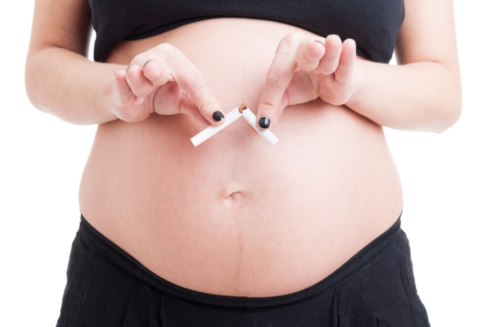 Closeup With Pregnant Woman Hands Breaking Cigarette in Half