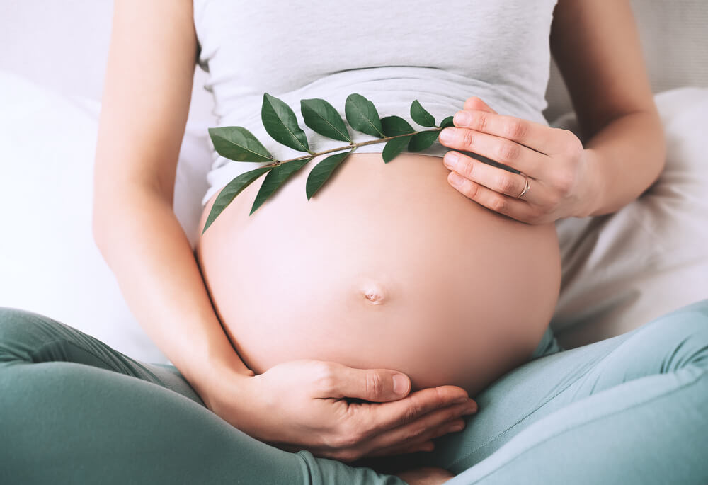 Pregnant Woman Holds Green Sprout Plant Near Her Belly as Symbol of New Life