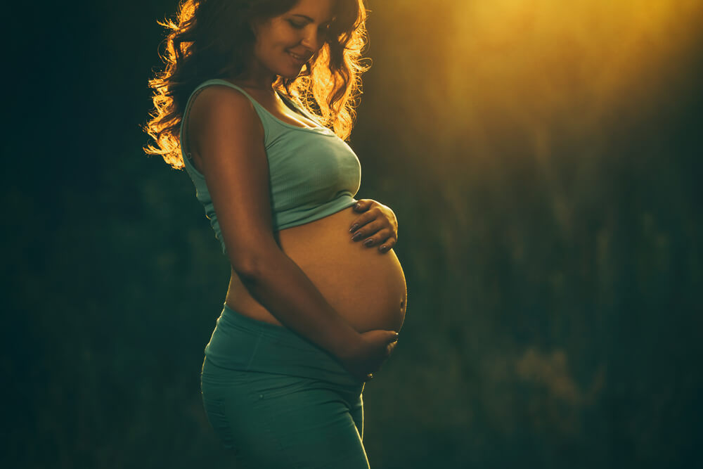 Adult Pregnant Woman on Against the Backdrop of the Sunset in the Park.