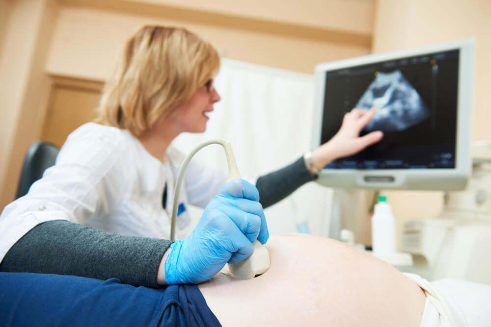 Ultrasound Test. Pregnancy. Gynecologist Checking Fetal Life With Scanner