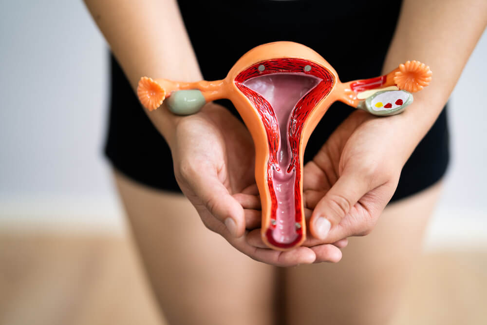 Woman Reproductive System. Vagina and Uterus. Gynecology and Health
