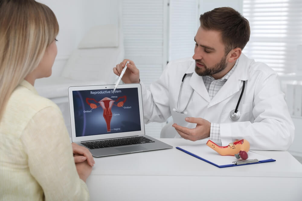 Gynecologist Showing Picture of Female Reproductive System to Young Woman in Clinic