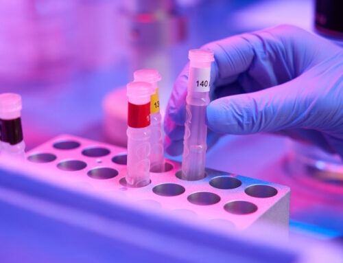 Fertility Preservation Options for Women: Egg Freezing and Beyond