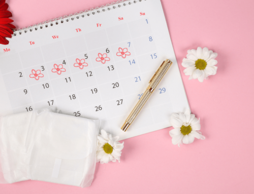 Ovulation cycle: Everything you need to know
