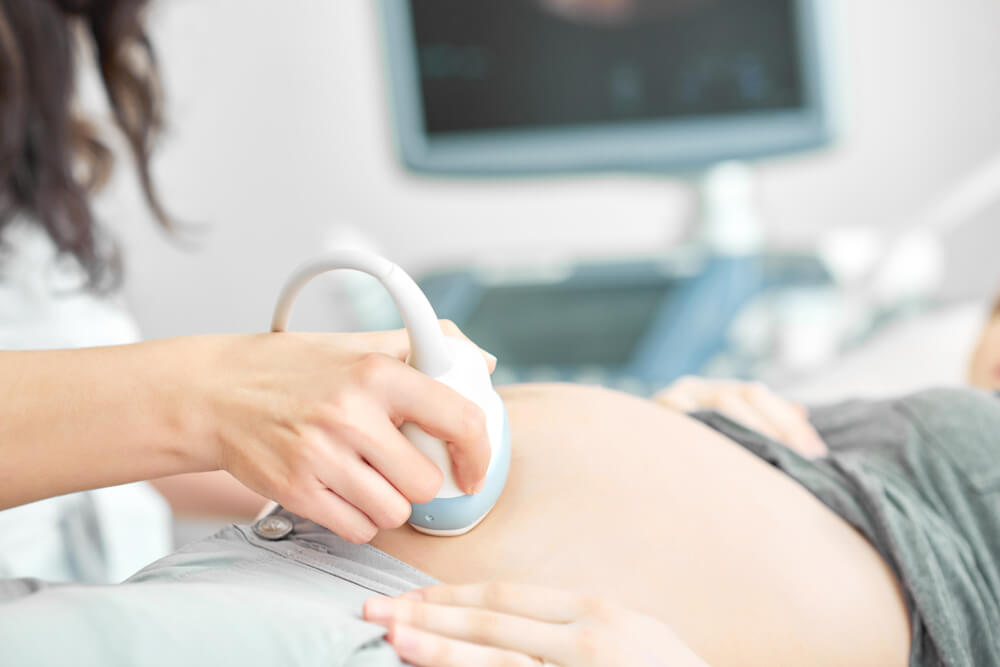 Doctor Screening of Pregnant Woman by Ultrasound